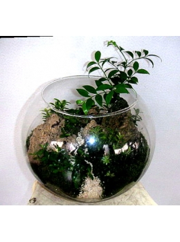 玻璃球-山水造景