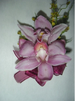 胸花-虎頭蘭