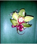 虎頭蘭胸花