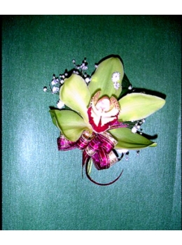 虎頭蘭胸花